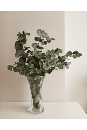 Şoklanmış Okaliptüs Buyuk Yaprak Okaliptüsyaprak - SERRA BUTİK ÇİÇEK