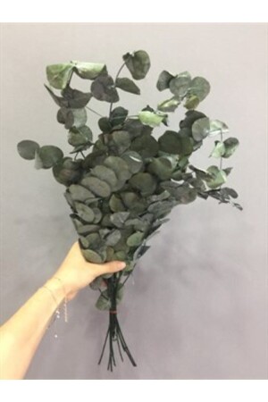 Şoklanmış Okaliptus Yaprak Kurutulmuş Okaliptus - Yapay Çiçeğim