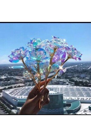 Sonsuzluk Gülü Hediyelik Gül - Ev Dekor - Sevgiliye Hediye-anneler Günü Hediyesi-solmayan Gül - Gelecek