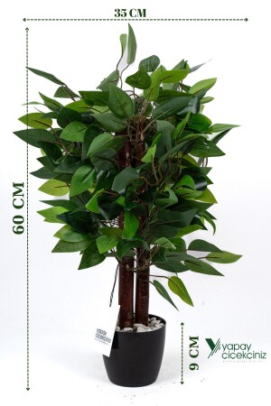 Taş Detaylı Siyah Saksıda 60 Cm Yoğun Yapraklı Yapay Benjamin Ağacı - Yapay Çiçekçiniz