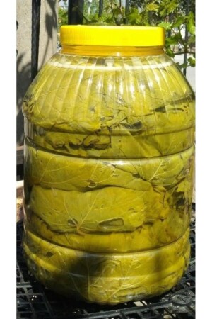 Tokat eingelegte Blätter 5 kg - Tokattangeliyor