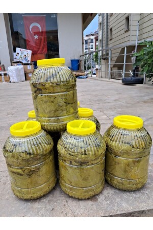 Tokat Eingelegte Blätter - Organik Gıdam