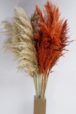 Turuncu Pampas 20 Adet 120 cm - Mimozaçiçek
