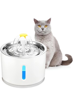 Wasserspender für Katzen und Hunde, Stahlkopf, automatischer Wasserspender, automatische Wasserfälle, automatischer Wassernapf METALWATER - 1
