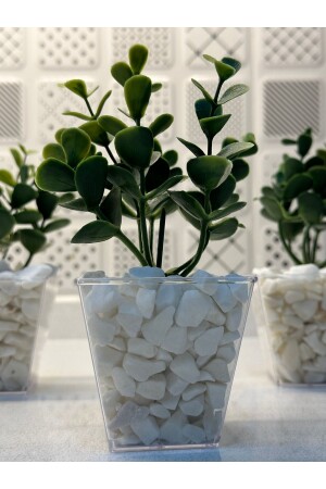 Yapay Çiçek DIY 3’lü Kübik Saksıda Dekoratif Taş Detaylı Okaliptus - Lilac Home