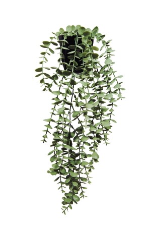 Yapay Çiçek Moblen Mika Elmas Siyah Saksıda Pastel Yeşili Okaliptus Sarkıtı - Lilac Home