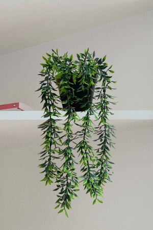 Yapay Çiçek Siyah Yalı Saksı Içerisinde Huajıa Sarkan Bitkisi - Lilac Home