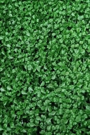 Yapay Duvar Kaplama Panel Bitki Şimşir Tabaka 40x60 Cm Yeşil Dikey Bahçe DD-40-60cm şimşir - DDTREND